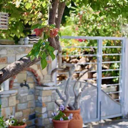 Sea Front On The Gulf Of Pagasitikos Marathos (Thessaly)