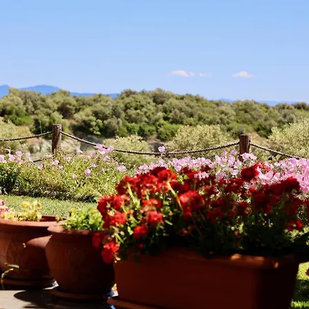 Ferienhaus Sea Front On The Gulf Of Pagasitikos Marathos (Thessaly)